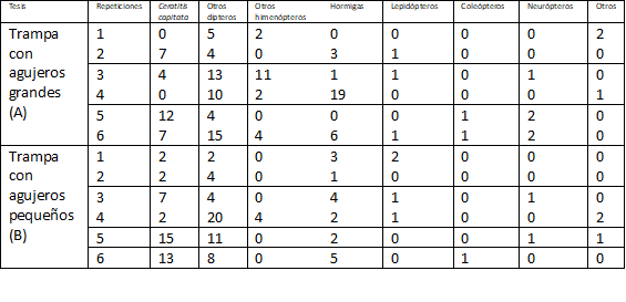 Grafica CT 4