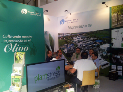 expoliva_06_400 expoliva_06_400