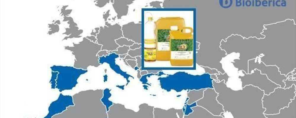 CeraTrap® registered in Greece for the capture of fruit flies. Welcome! Καλώς ήλθατε! CeraTrap® registered in Greece for the capture of fruit flies. Welcome! Καλώς ήλθατε!