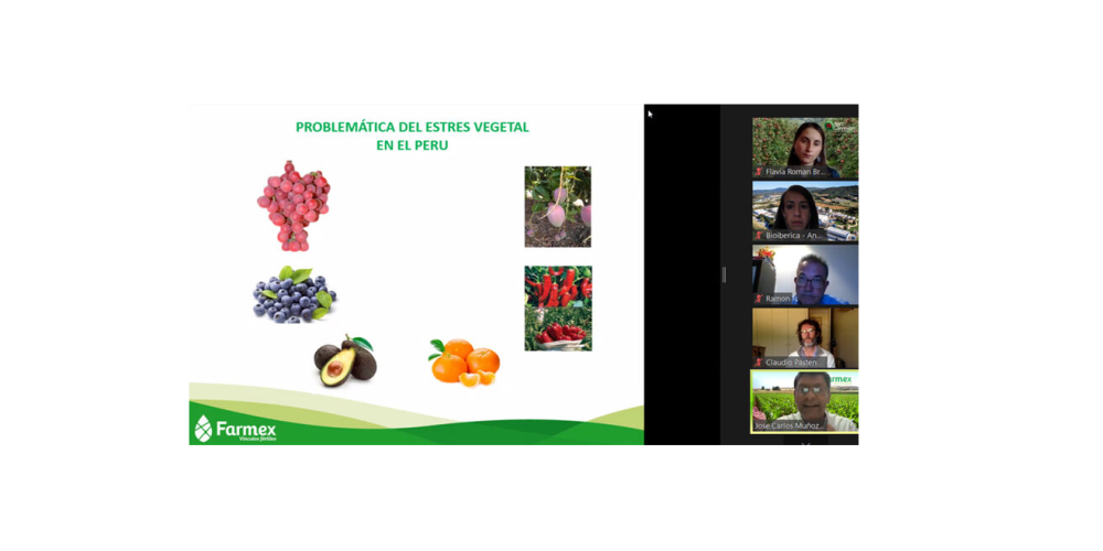 Webinar: Gestión del estrés vegetal y el papel de los bioestimulantes en base a L-α-aminoácidos para modular el impacto y recuperación en los principales cultivos Webinar: Gestión del estrés vegetal y el papel de los bioestimulantes en base a L-α-aminoácidos para modular el impacto y recuperación en los principales cultivos