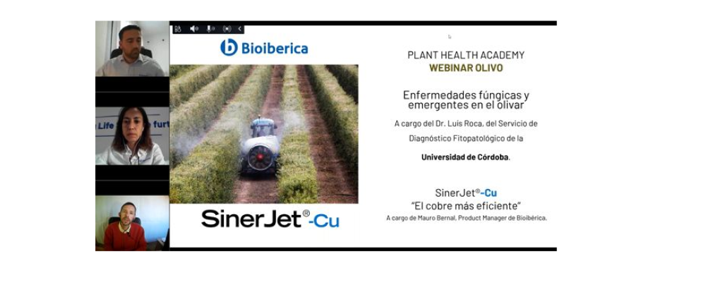 Plant Health Academy: Fungal and emerging diseases in the olive grove Plant Health Academy: Fungal and emerging diseases in the olive grove