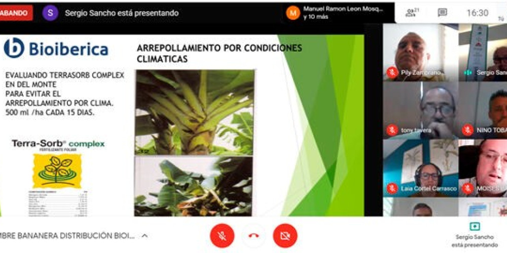 ¡Cumbre Bananera de Bioibérica Plant Health! ¡Cumbre Bananera de Bioibérica Plant Health!
