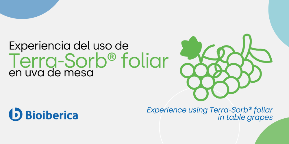 Experiencia del uso de Terra-Sorb® foliar en uva de mesa Experiencia del uso de Terra-Sorb® foliar en uva de mesa